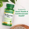 Berberine