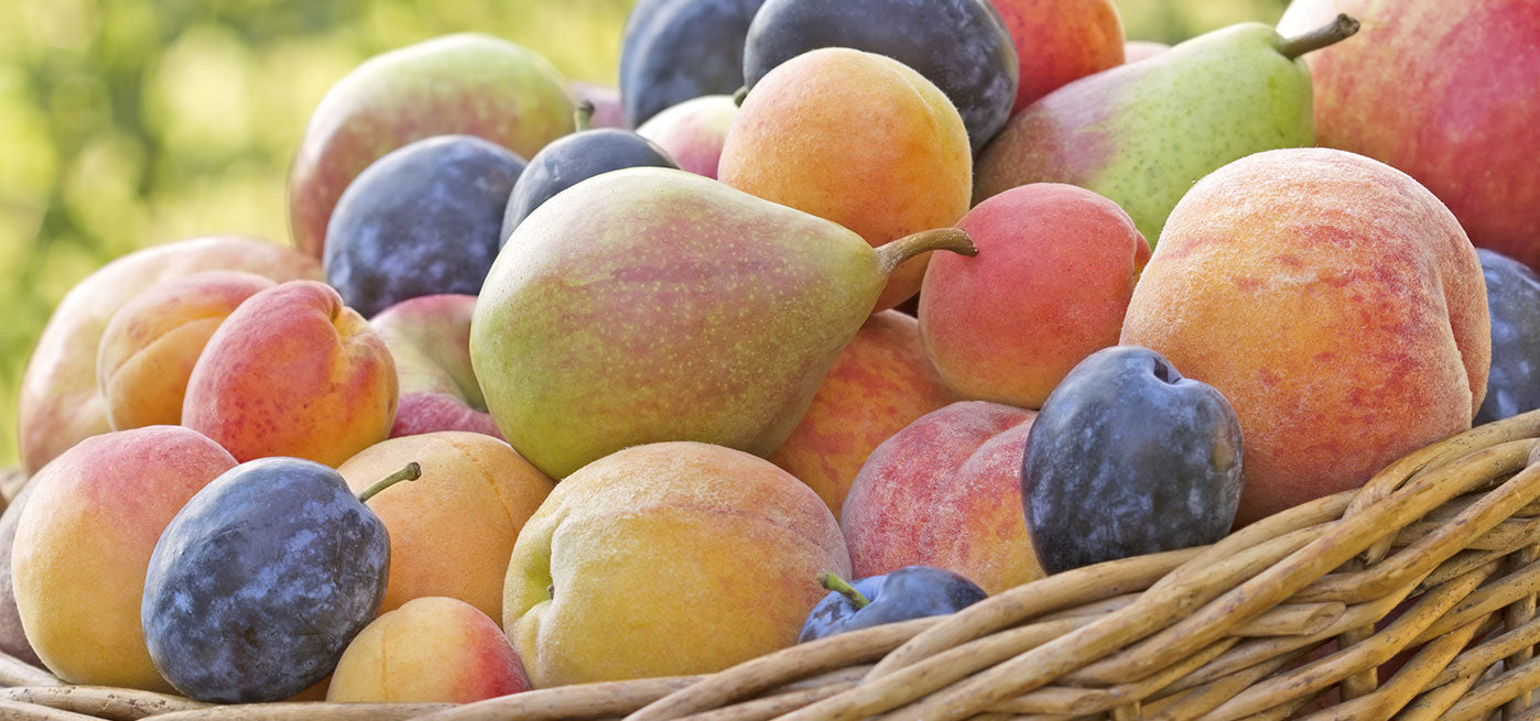 Peach, Pear & Plum Smoothie