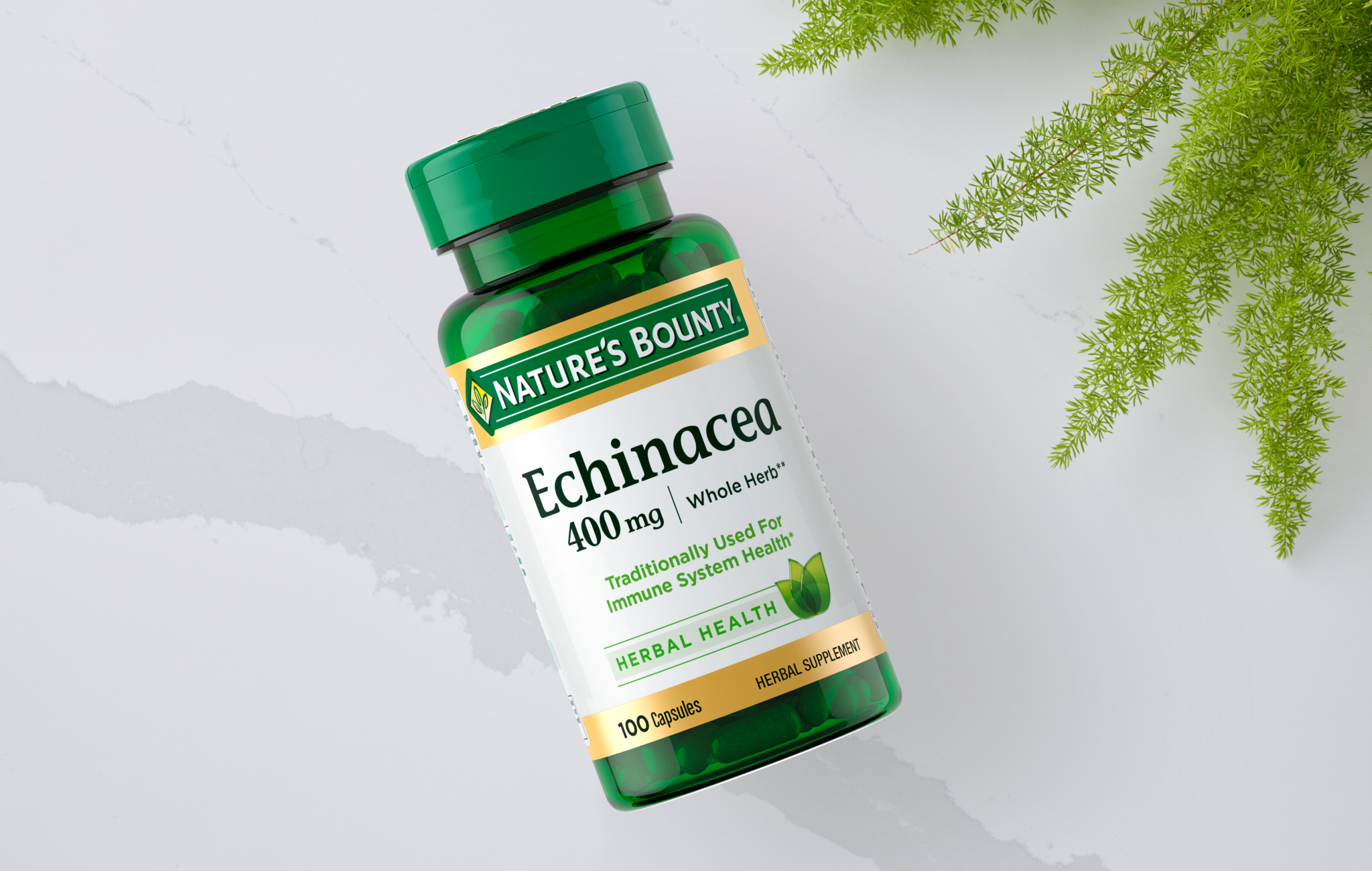 Echinacea